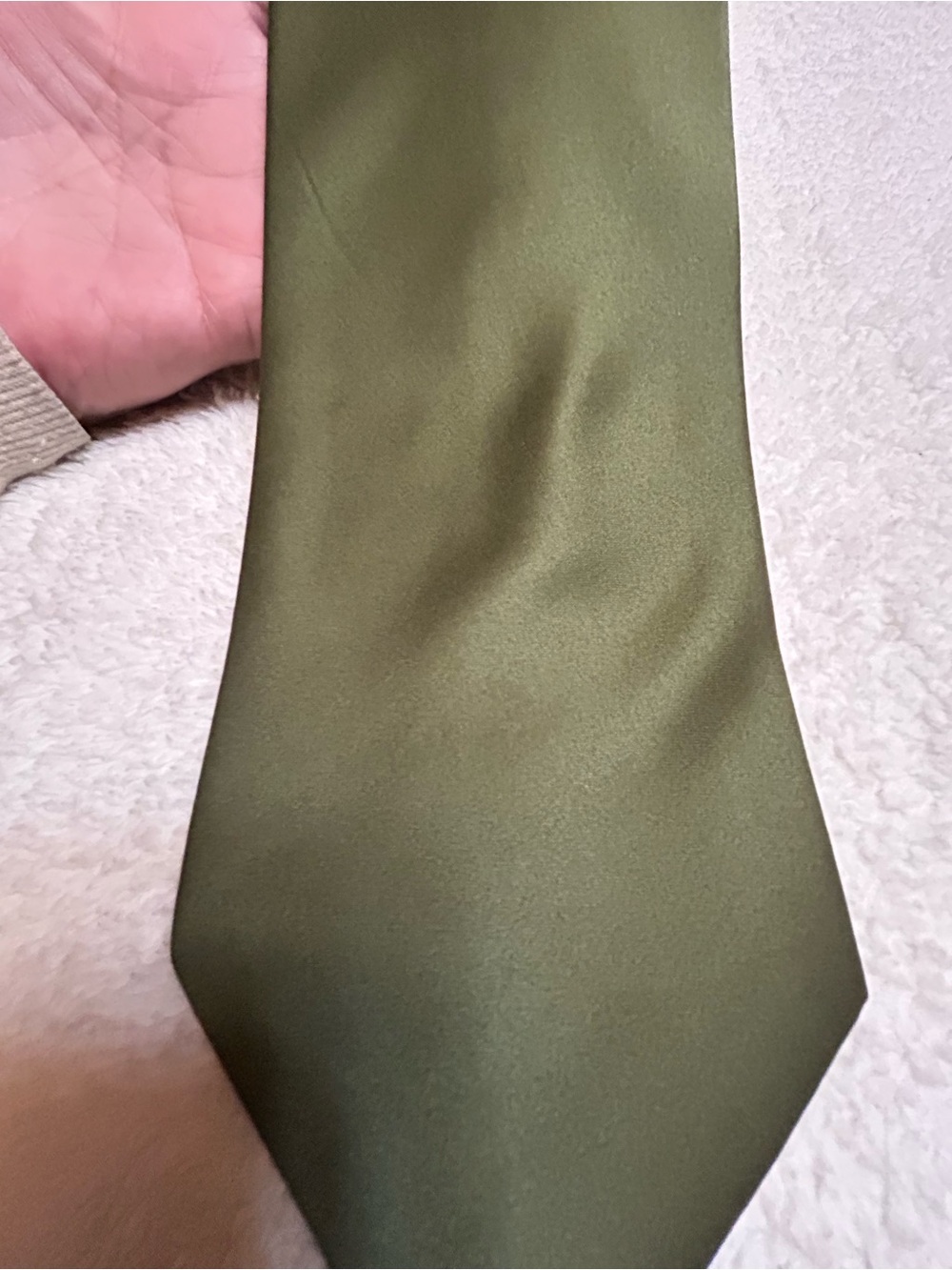 🎁3 for $30 - Olive Green Necktie